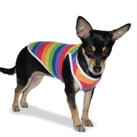 Rainbow Dog Tank X-Small - Picture 5 of 6